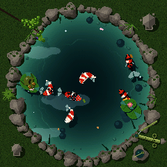 The koi pond at feeding time, the koi near the surface