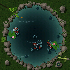 Rain on the koi pond, rings where the drops land