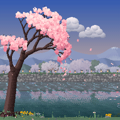 Sakura in the morning: a cherry tree over a misty stream, cherries along its stone-walled far bank